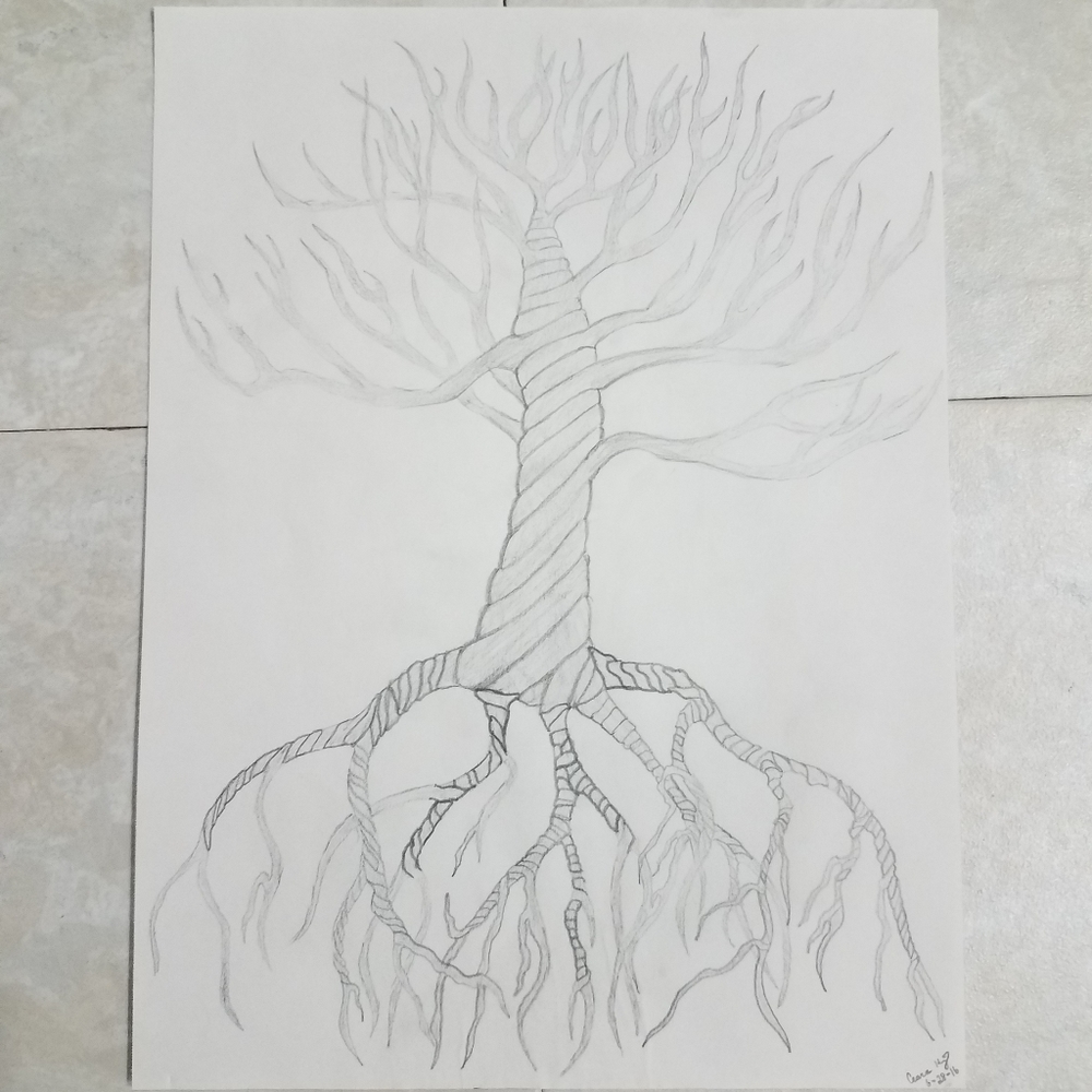 "Twisted Tree" - Picture 2 of 4